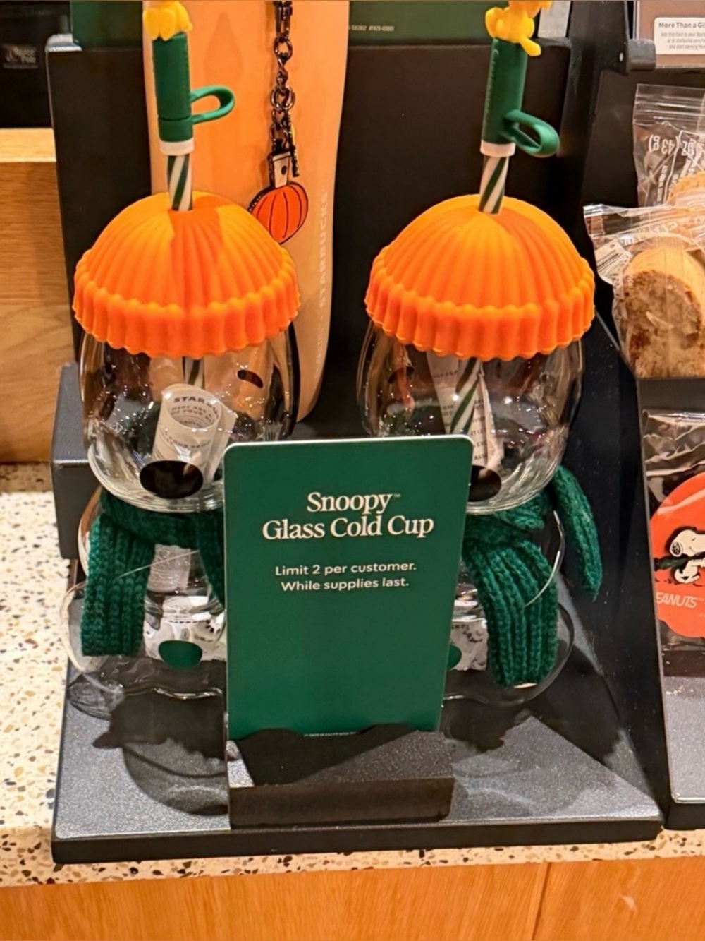 NEW Starbucks x Peanuts Snoopy Glass Tumbler 2026 LIMITED EDITION